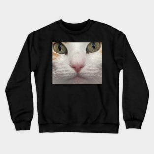 Cat Nap Crewneck Sweatshirt